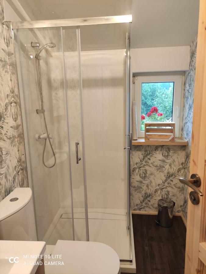 Guest house Karkonoski Sad
