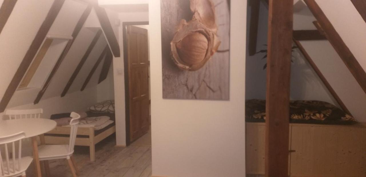 Karkonoski Sad Piechowice (Karkonosze)